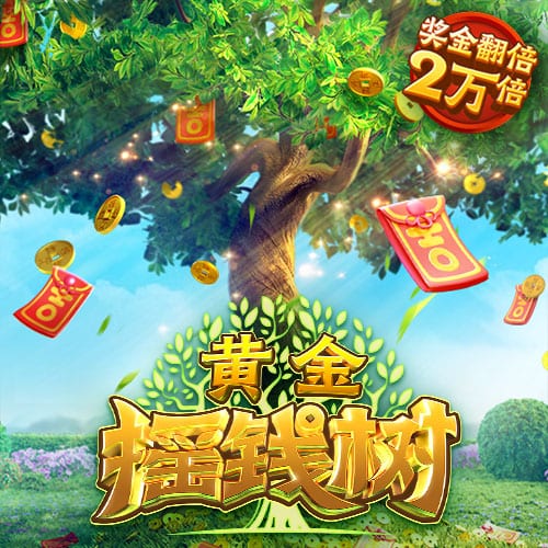 马特乌斯：拜仁可考虑踢三中卫，现有阵容我能排一支欧冠四强球队